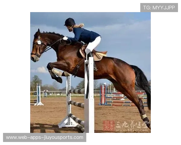 马术耐力赛中骑手与马匹默契称赞为“最佳搭档”